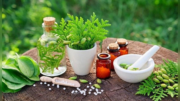داروی گیاهی ضد میکروب
