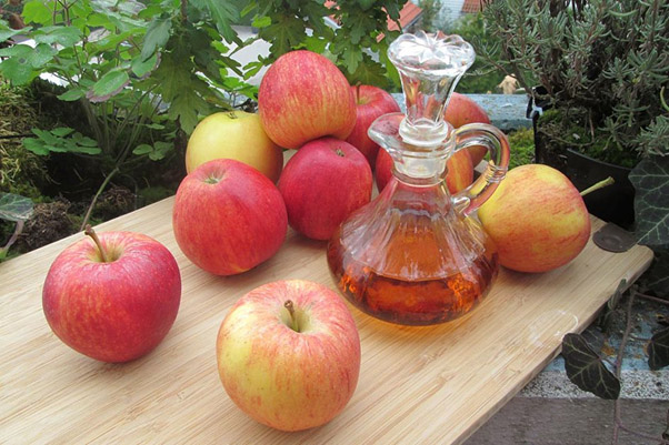 سرکه سیب؛ داروی گیاهی ضد میکروب