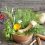 درمان گیاهی برای عفونت معده