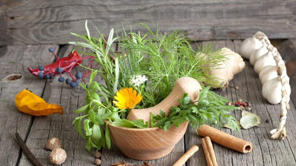 درمان گیاهی برای عفونت معده