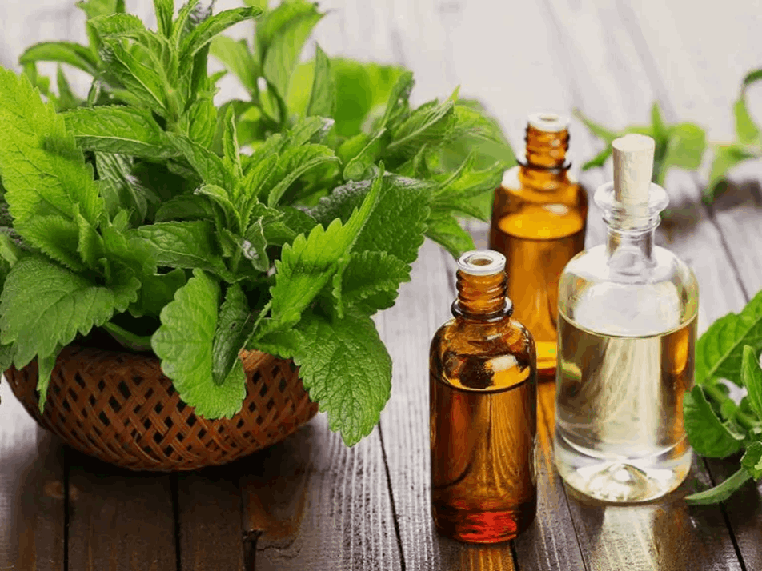 نقش داروهای گیاهی برای کنترل چربی خون بالا
