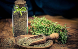 راهکار خانگی برای درمان معده