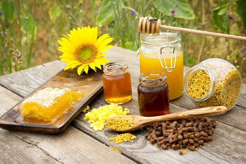 عسل، بره موم و ژل رویال برای معده میکروبی