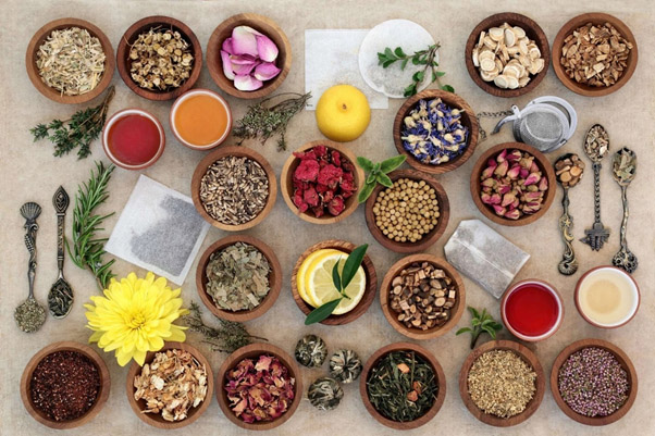 گیاهان دارویی متنوع