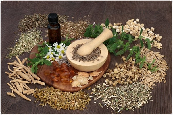 گیاهان دارویی مفید برای معده
