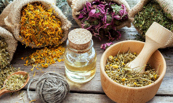 گیاهان دارویی مفید برای معده