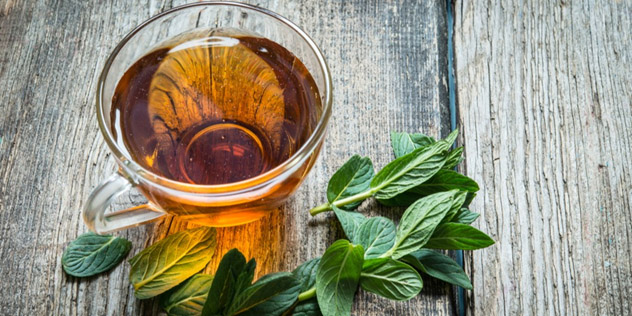 گیاهان دارویی مفید برای نفخ معده