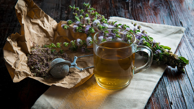 گیاهان معجزه آسا برای عفونت معده