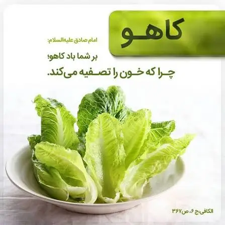 نقش کاهو در کاهش غلظت خون